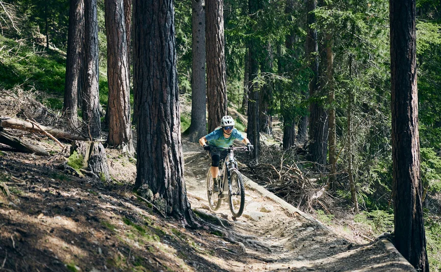 Mountain bike holiday in Brixen © Tobias Köhler Mountain biker rides a narrow forest trail among tall trees