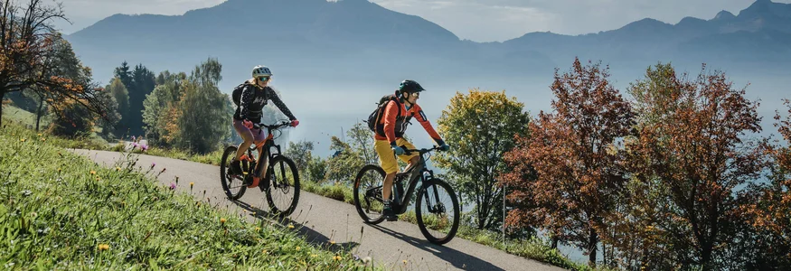 Holiday Region Dachstein Salzkammergut © Salzkammergut Tourismus - Katrin Kerschbaumer Two cyclists riding on a path in a mountainous autumn landscape with lake and trees