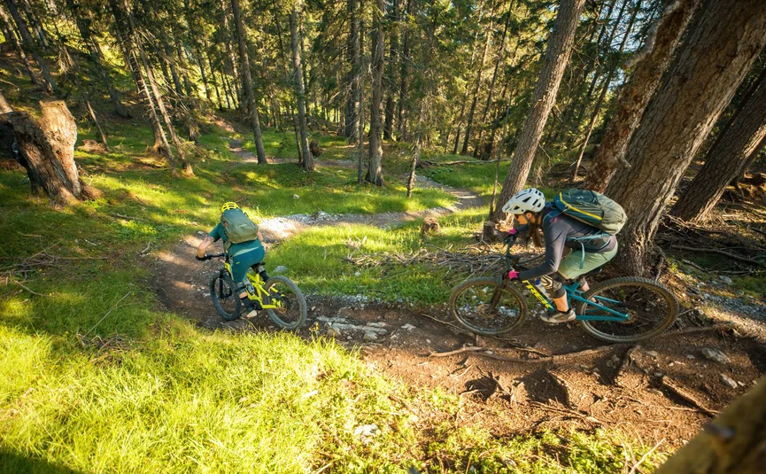 Mountain bike holidays in the Tiroler Zugspitz Arena © David Karg Two mountain bikers riding downhill on narrow forest trail