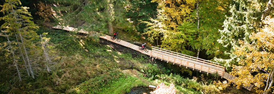 Mountain bike holidays in Styria © TVB Ausseerland Salzkammergut - Karl Steinegger Two mountain bikers on a wooden bridge in autumn forest