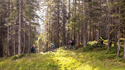 Matzalm Trail © Klemens König Four mountain bikers riding through a sunny pine forest trail