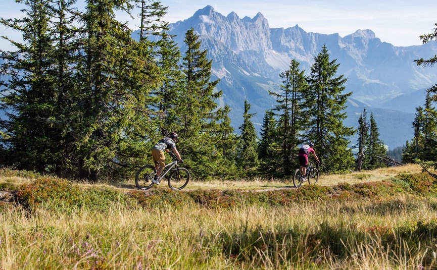 Mountain bike holidays in Flachau © Flachau Tourismus - Geri Oberreiter Two cyclists riding on a forest trail with mountains in the background