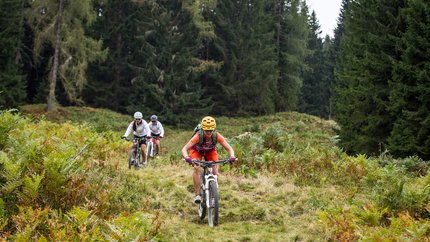 Frauenalm - Baierwald - Mayrdörfl MTB Tour