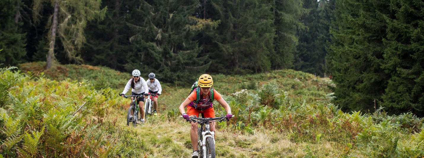 Frauenalm - Baierwald - Mayrdörfl MTB Tour