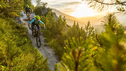 SINGLETRAIL TOUR PANAROTTA © WOM Medien - Andreas Meyer Two mountain bikers riding on a trail in sunny mountain forest
