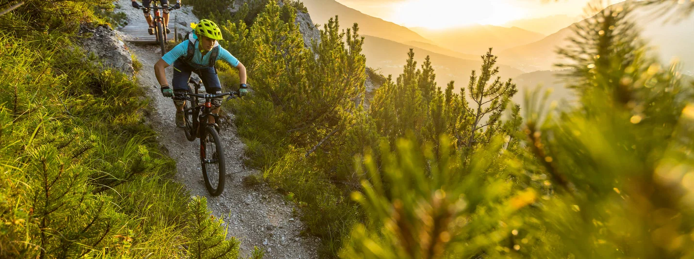 SINGLETRAIL TOUR PANAROTTA © WOM Medien - Andreas Meyer Two mountain bikers riding on a trail in sunny mountain forest