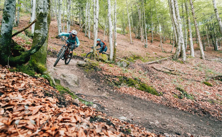 Lisi Osl Trail © Patrick Wasshuber Two mountain bikers riding on a forest trail with colorful autumn leaves