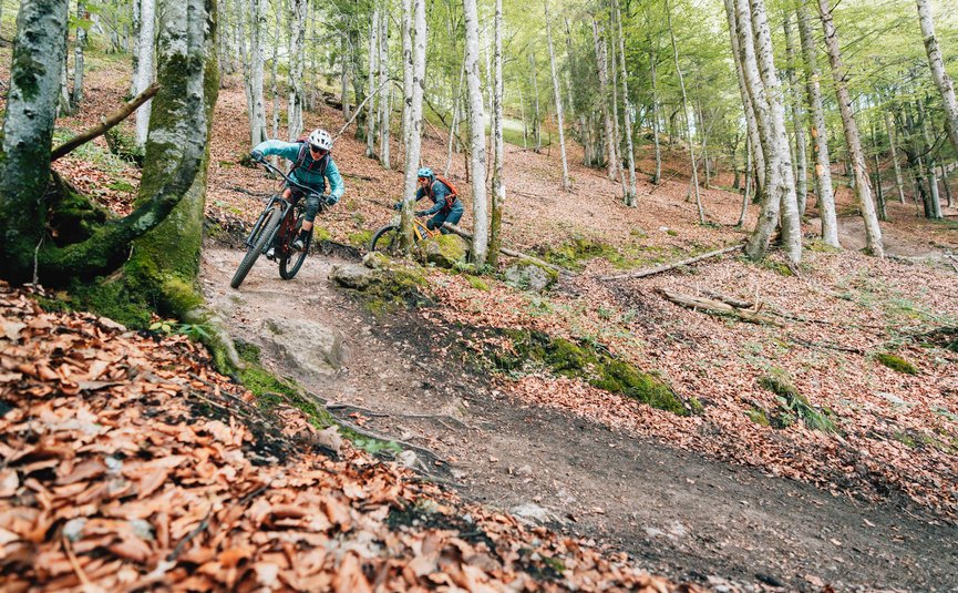 Lisi Osl Trail © Patrick Wasshuber Two mountain bikers riding on a forest trail with colorful autumn leaves