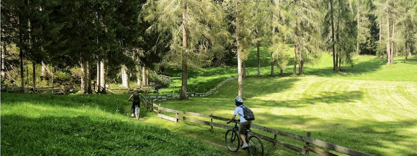 Van Toblach naar de Talschlusshütte in Sexten © www.hiwio.com Twee fietsers rijden op een bospad langs een houten hek