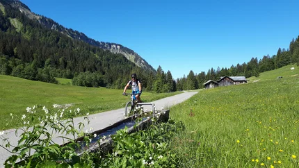 Au - Around the Mittagsfluh © Au Schoppernau Tourismus - Monika Albrecht Cyclist on road next to flower meadow and mountains under clear sky