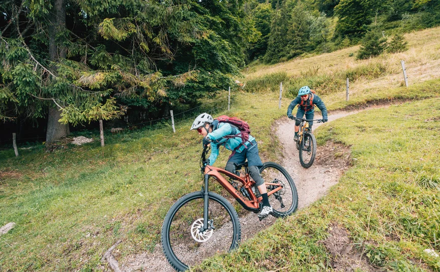Lisi Osl Trail © Patrick Wasshuber Two mountain bikers riding downhill on a narrow forest trail