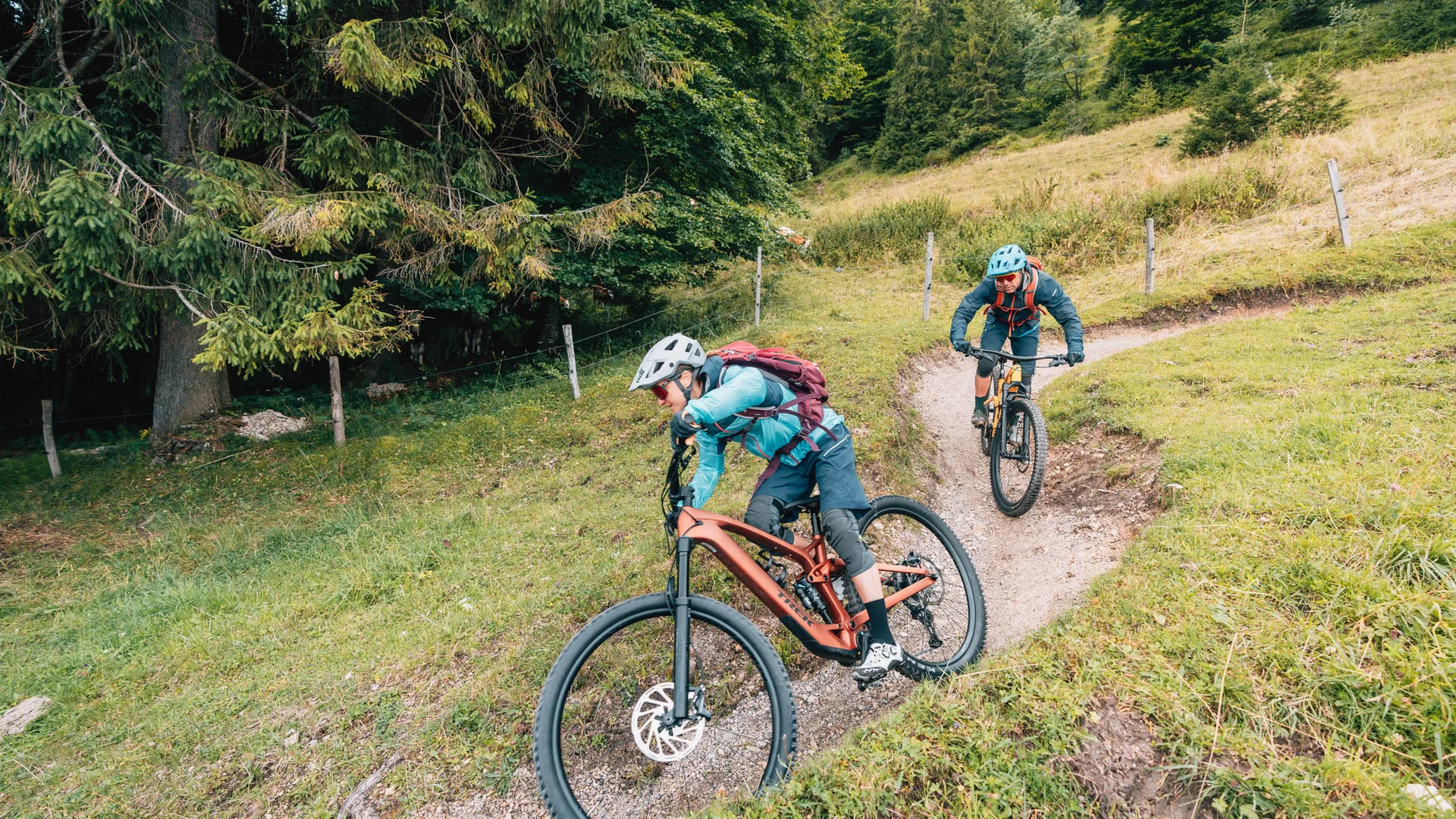Lisi Osl Trail © Patrick Wasshuber Two mountain bikers riding downhill on a narrow forest trail