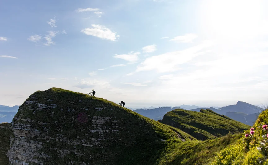Diedamskopftrail © David Karg Two cyclists pushing bikes up grassy hill in mountainous landscape
