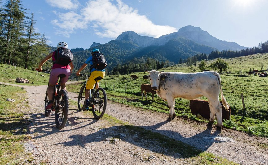 Mountain biking in Upper Austria