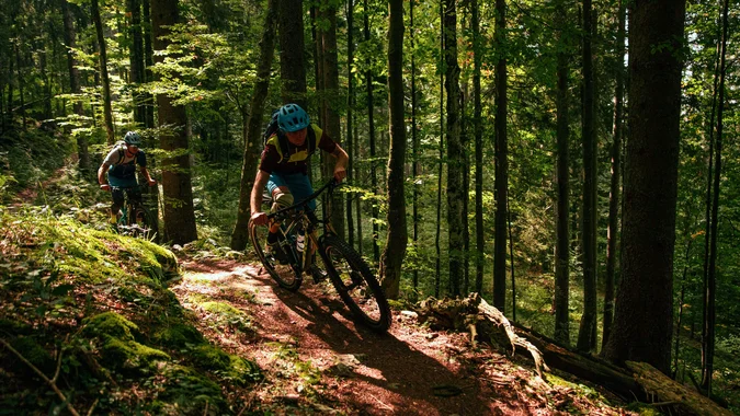 Mountain Bike Holidays © Felix Saller Zwei Mountainbiker fahren auf einem schmalen Waldpfad im Sonnenschein