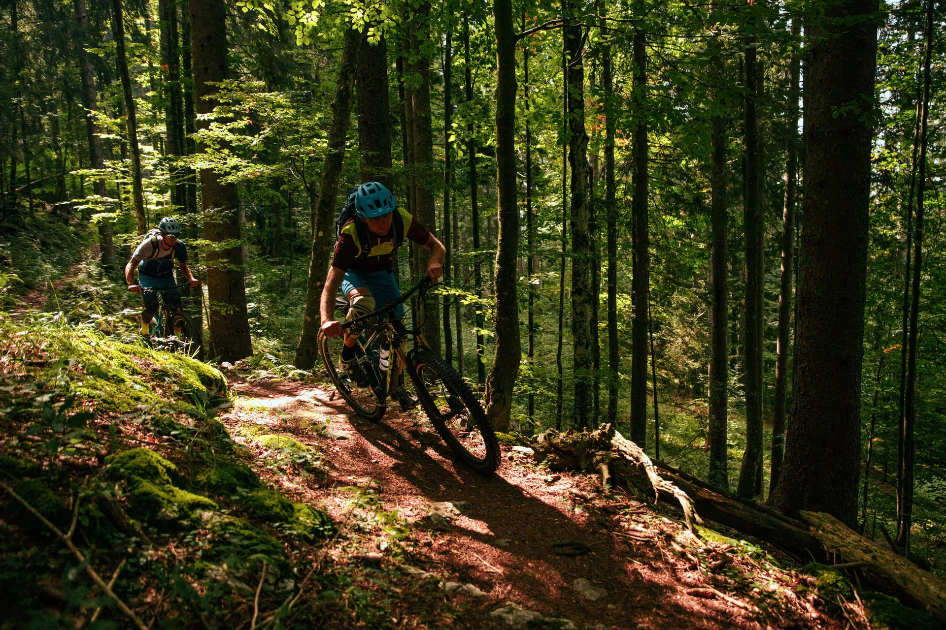 Mountain Bike Holidays © Felix Saller Zwei Mountainbiker fahren auf einem schmalen Waldpfad im Sonnenschein