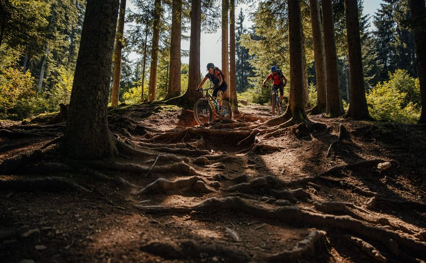 Fleckalm Trail