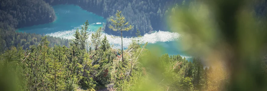 Tiroler Zugspitz Arena © Tiroler Zugspitz Arena - C. Jorda Two mountain bikers riding on a mountain trail overlooking a lake