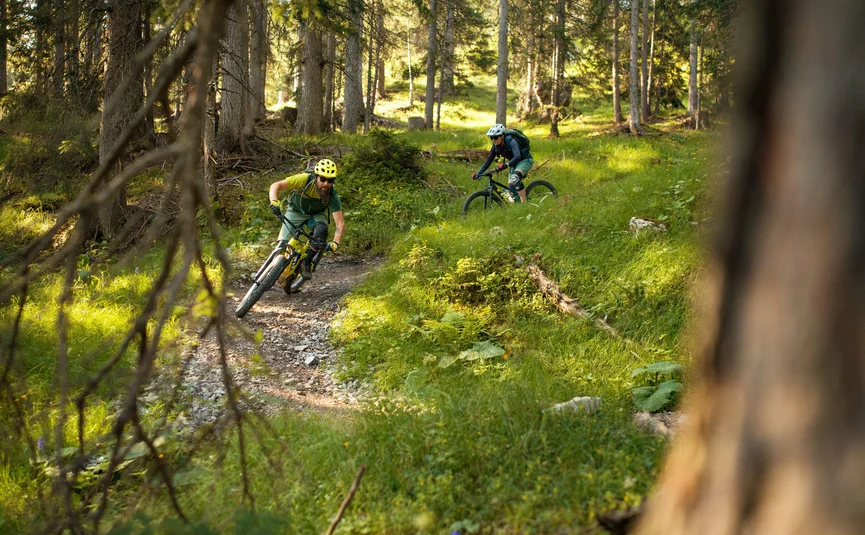 Mountain bike holidays in the Tiroler Zugspitz Arena © David Karg Two mountain bikers riding on a forest trail in sunlight