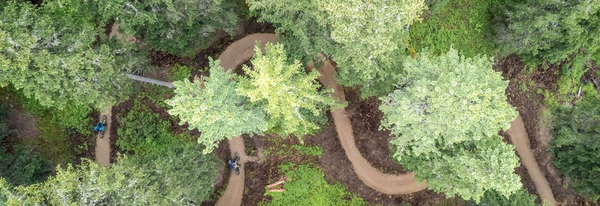 Mountain biking in Tyrol © TVB Tiroler Oberland Nauders - Erwin Haiden Aerial view of mountain bikers on a winding forest trail