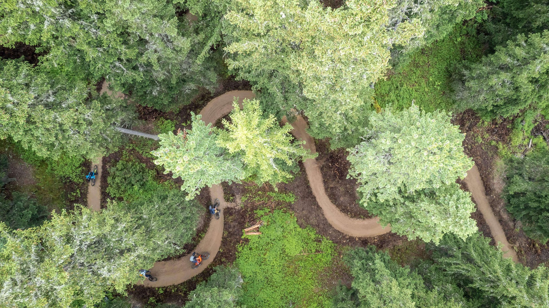 Catalogue © TVB Tiroler Oberland Nauders - Erwin Haiden Aerial view of mountain bikers on a winding forest trail