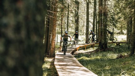 Rogla - Pohorje © Denis Janežič, Unitur Four mountain bikers ride on a wooden trail through a forest