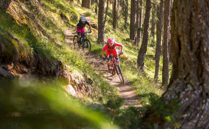 Ladder mountain trails