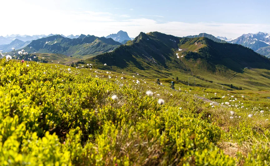 Diedamskopftrail © David Karg Bikers riding a narrow trail through green alpine meadows on a sunny day