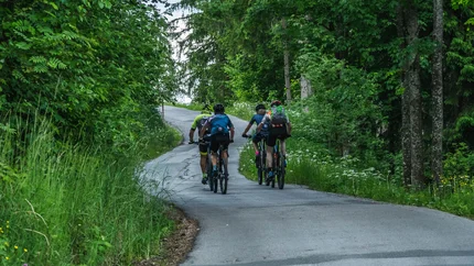 Winterbauer - Sattelbauer Tour Group of cyclists riding on a forest path surrounded by green foliage