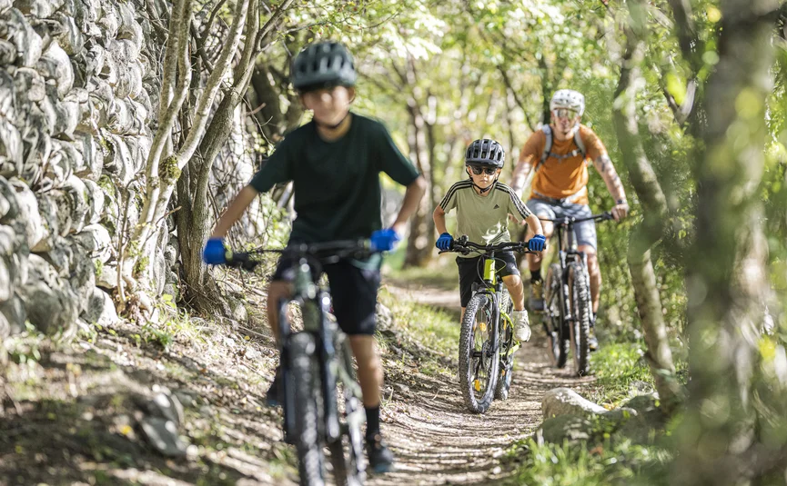 Mountain bike holiday in Brixen © Brixen Tourismus - Harald Wisthaler Three cyclists ride on a forest trail next to a stone wall