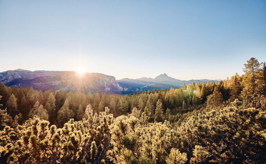 Mountain biking in South Tyrol