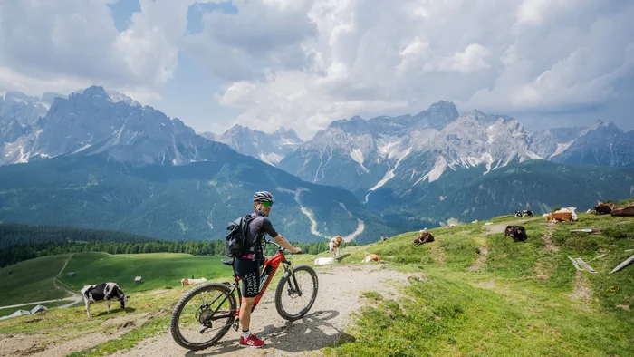 Multi-day tours © www.wisthaler.com Cyclist in the Alps with cows and mountains in the background