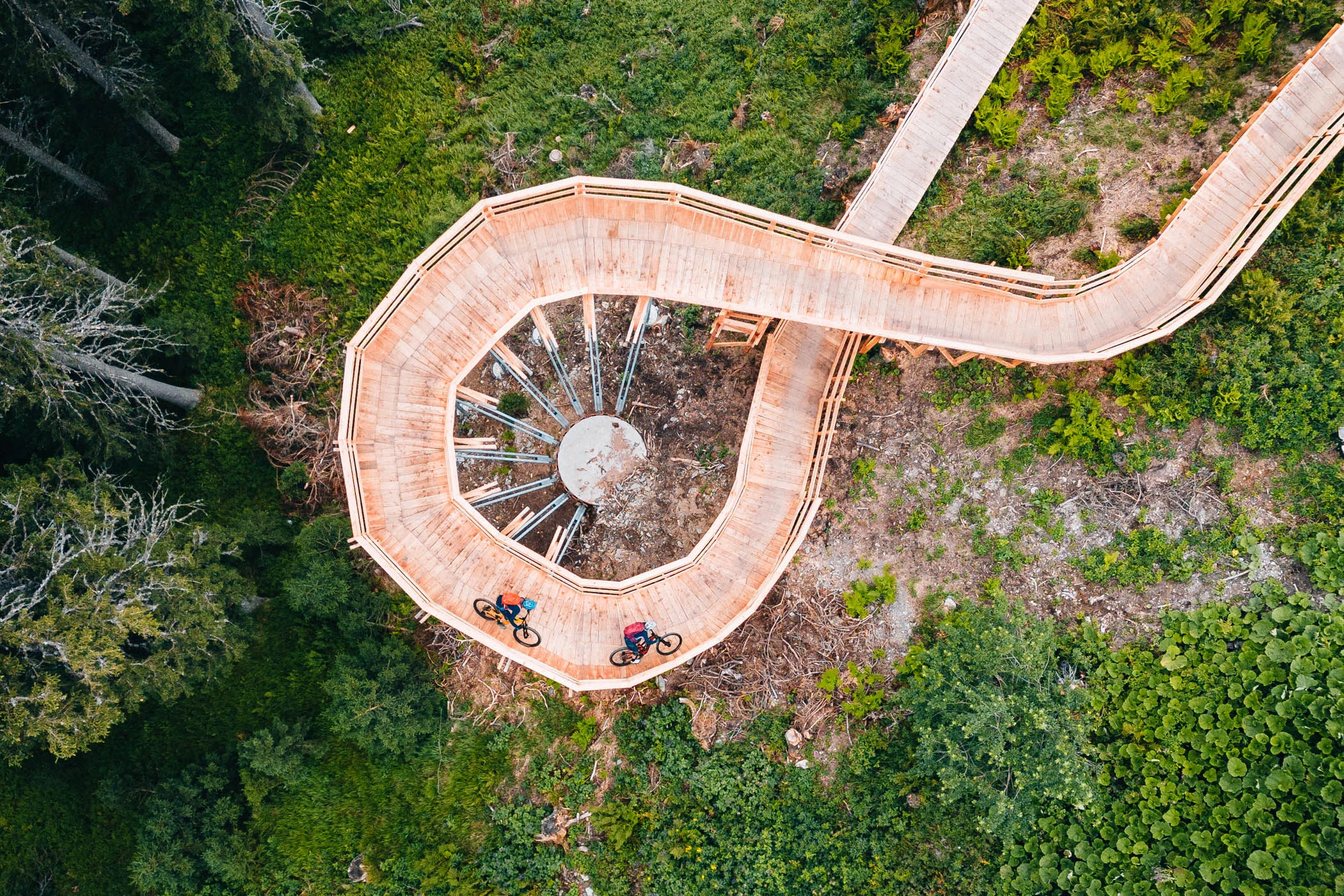 Single trails © Patrick Wasshuber Cyclists on spiral wooden bridge in green forest