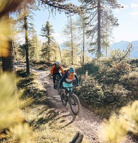 Bike Hotels