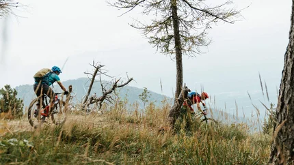 Corno di Tres © Felix Saller Two mountain bikers riding on a grassy forest trail