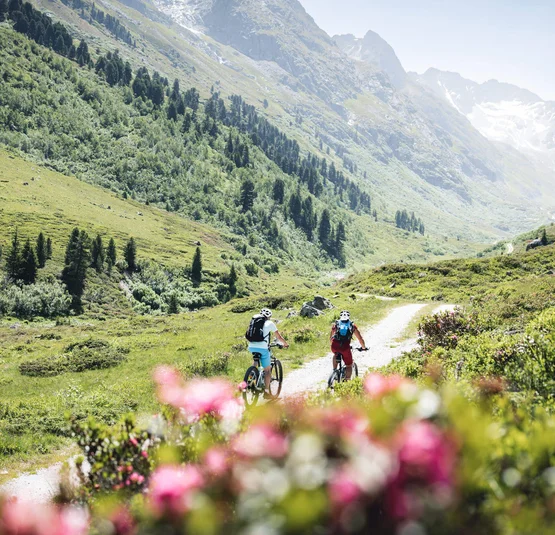Mountain bike holidays in St. Anton am Arlberg © TVB St. Anton am Arlberg - Patrick Bätz Two cyclists on a mountain trail in green alpine landscape with mountains in background