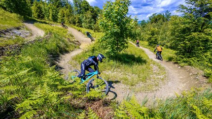 Flow Trail Veronika © Ziga Marin Mountain bikers ride on winding forest trail on a sunny day
