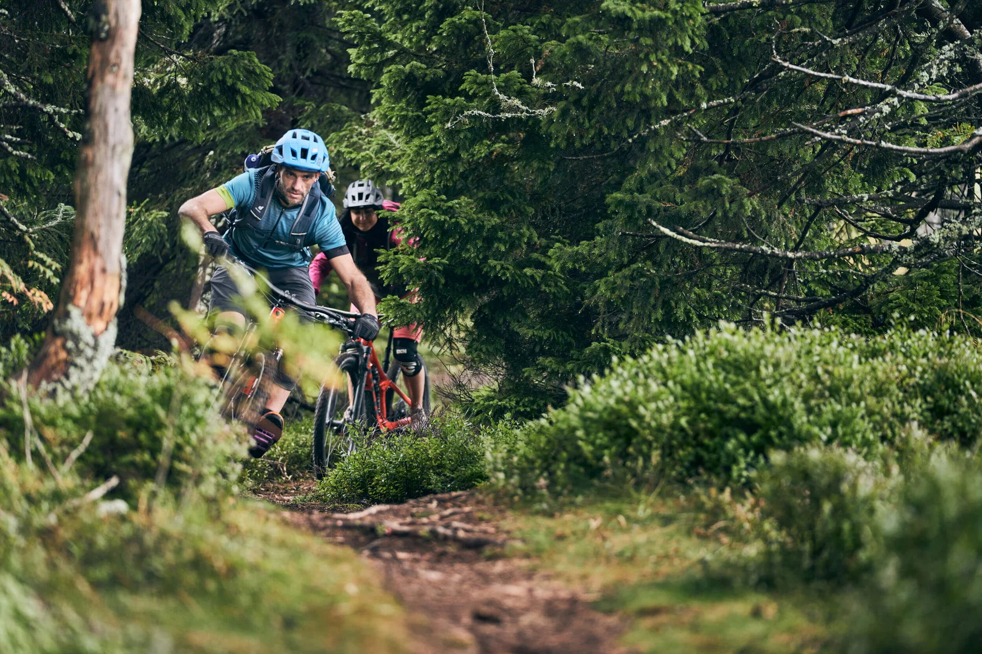 Mountain Bike Holidays © Tobias Köhler Zwei Mountainbiker fahren auf einem Waldweg durch dichten Busch.