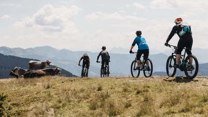 Summit - Hundstoa Biag di © Biohotel Rupertus Four mountain bikers riding on a hill in the mountains passing grazing cows